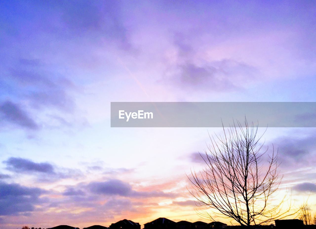 LOW ANGLE VIEW OF SILHOUETTE TREE AGAINST DRAMATIC SKY