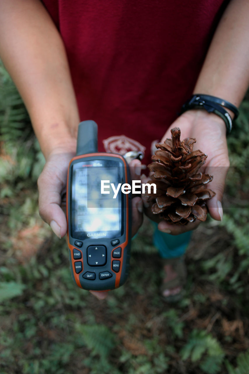 Midsection of man holding mobile phone and pine cone 