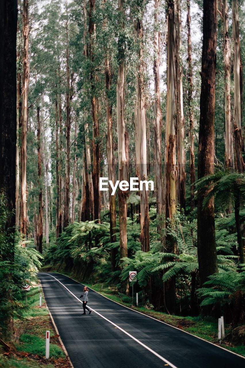 High angle view woman with camera walking on road between trees