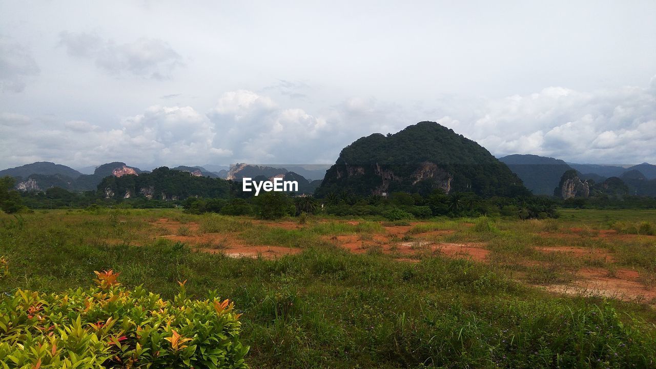 SCENIC VIEW OF MOUNTAIN AGAINST SKY