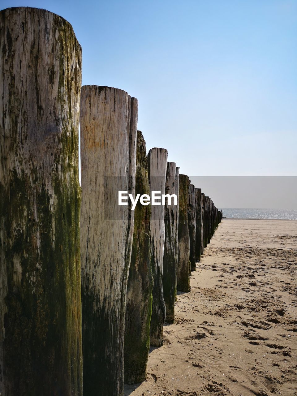 PANORAMIC VIEW OF WOODEN POSTS ON BEACH AGAINST CLEAR SKY