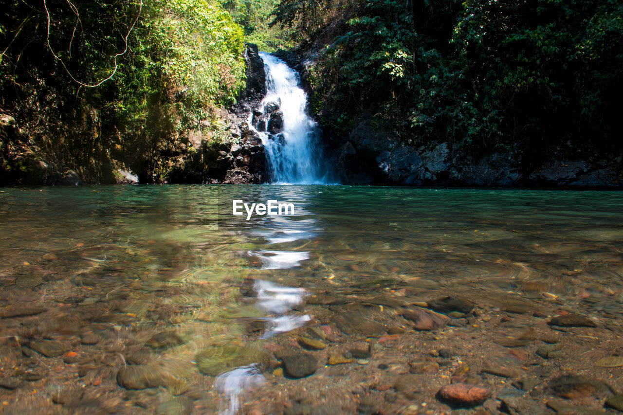 WATERFALL IN FOREST