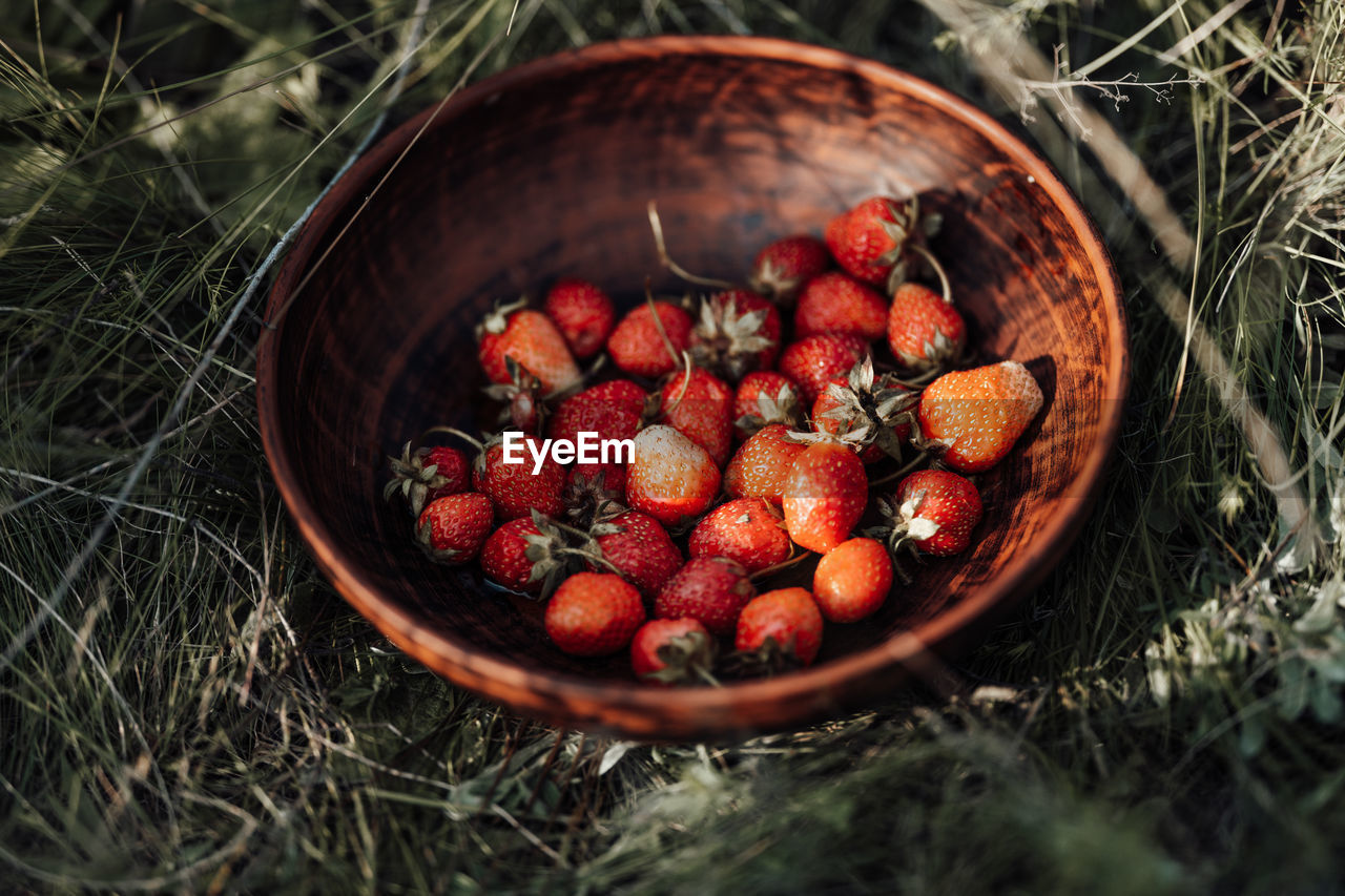 High angle view of strawberries in basket on field