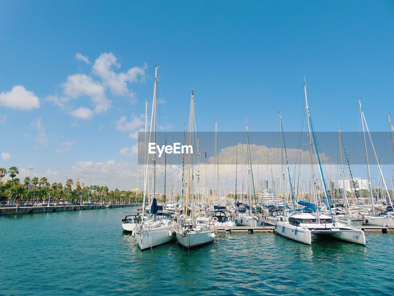 Sailboats in marina