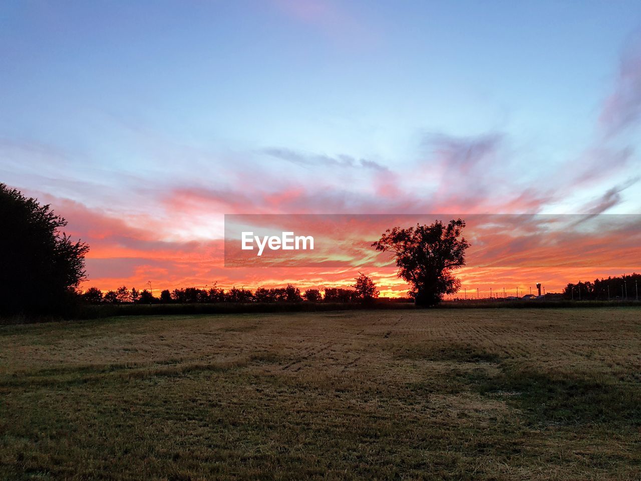 SILHOUETTE TREES ON FIELD AGAINST SKY