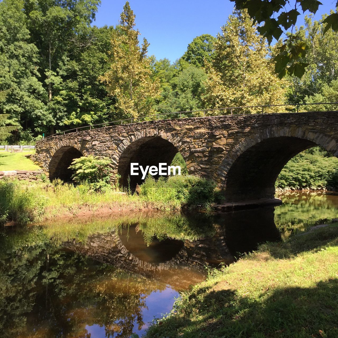 Bridge over trees against sky