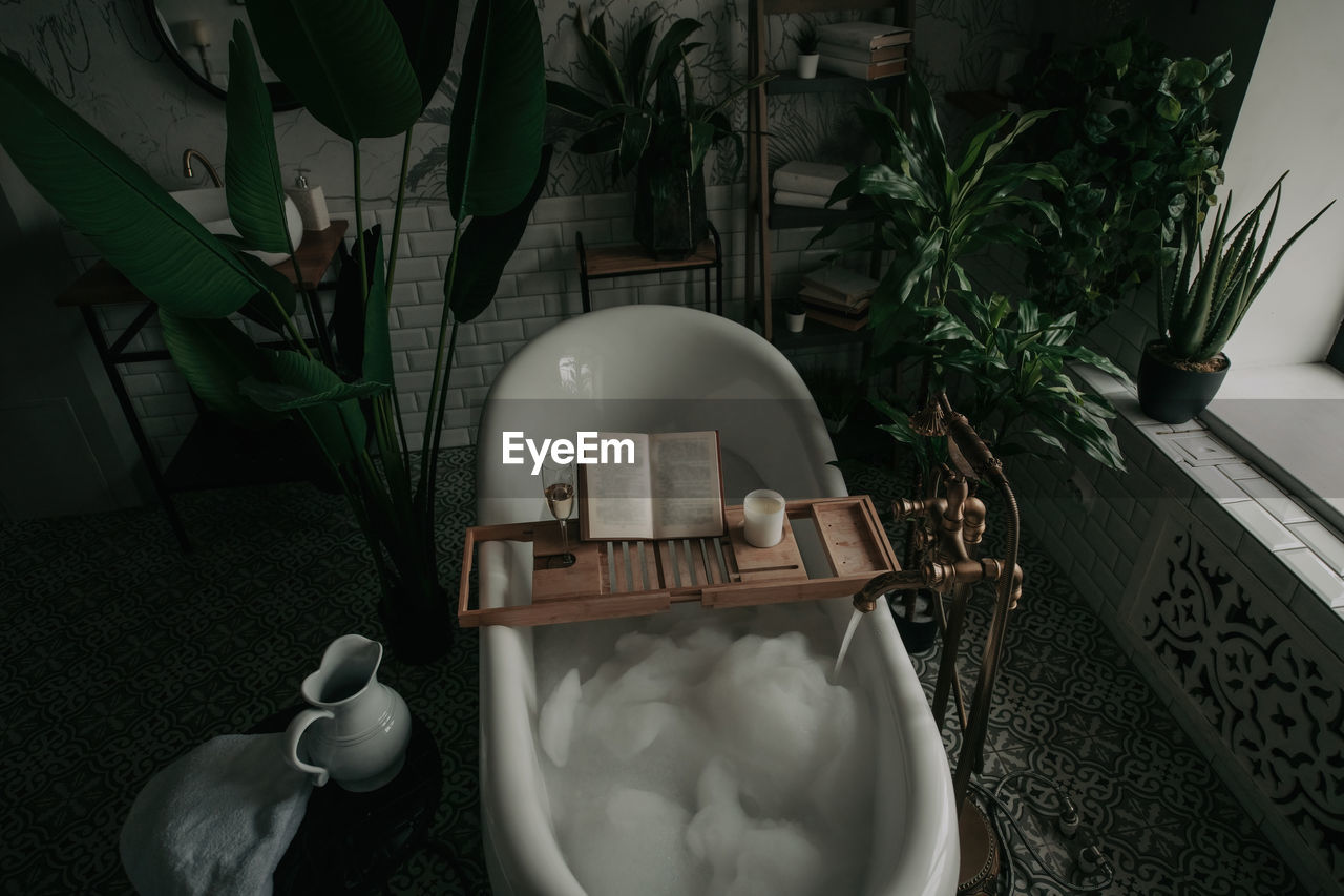 indoors, food and drink, household equipment, plant, high angle view, kitchen utensil, food, no people, table, tableware, room, domestic room, white, nature, sink, lifestyles