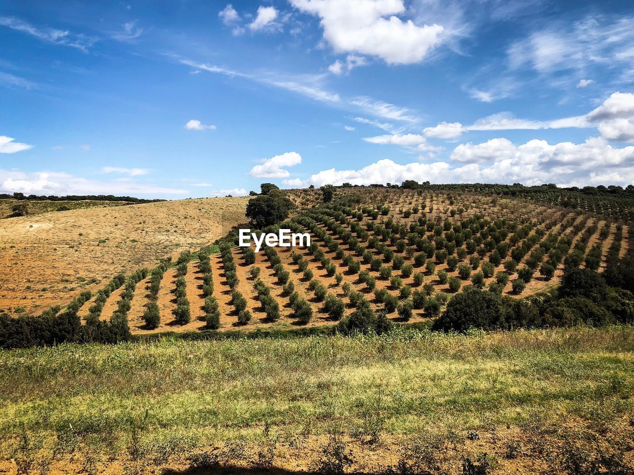 Hay bales on field against sky