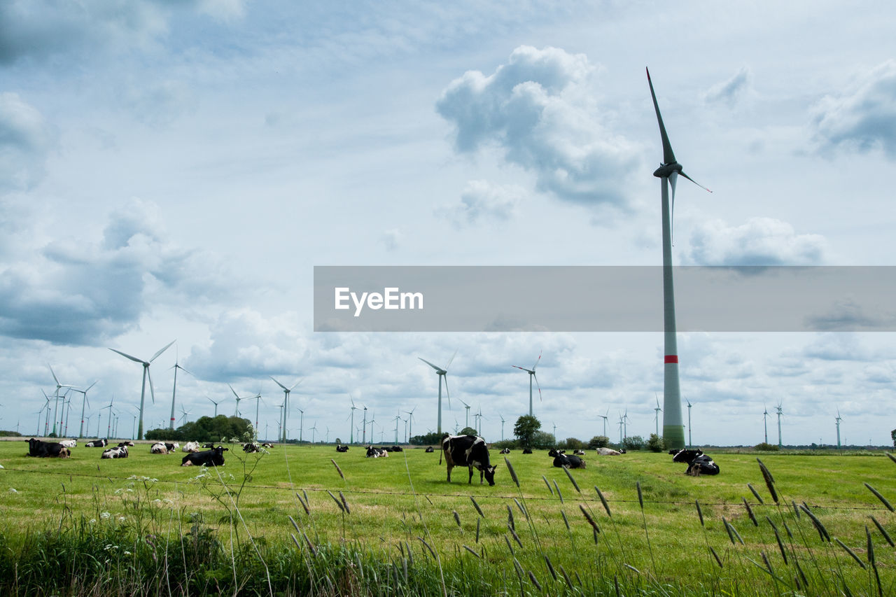 Wind turbines on grassy field