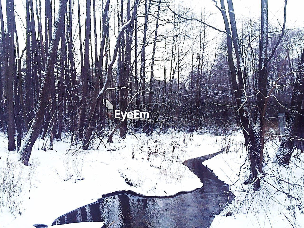 Narrow stream along snow covered landscape