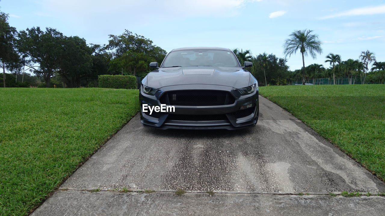 CAR ON ROAD AMIDST FIELD