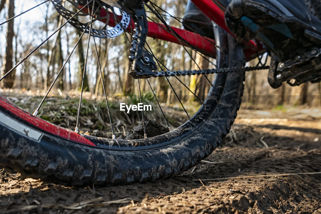 Mountain bike tyre close-up on a trail