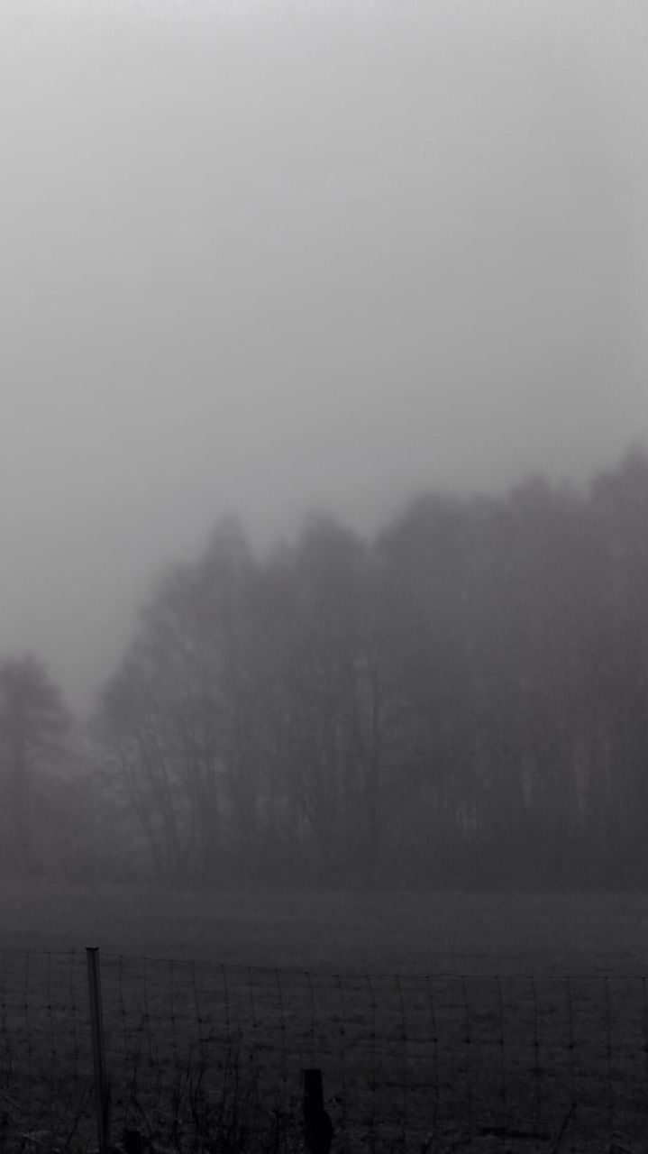 Chainlink fence and trees against clear sky on foggy day