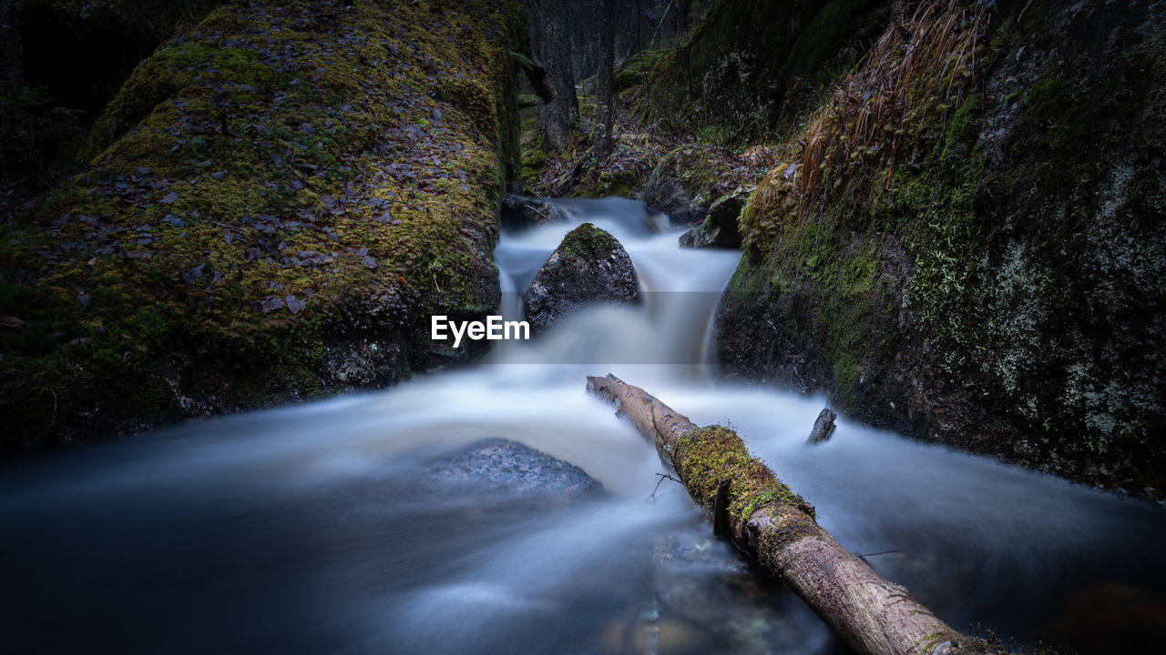 Small river with a waterfall between moss-grown boulders in a wild nordic forest