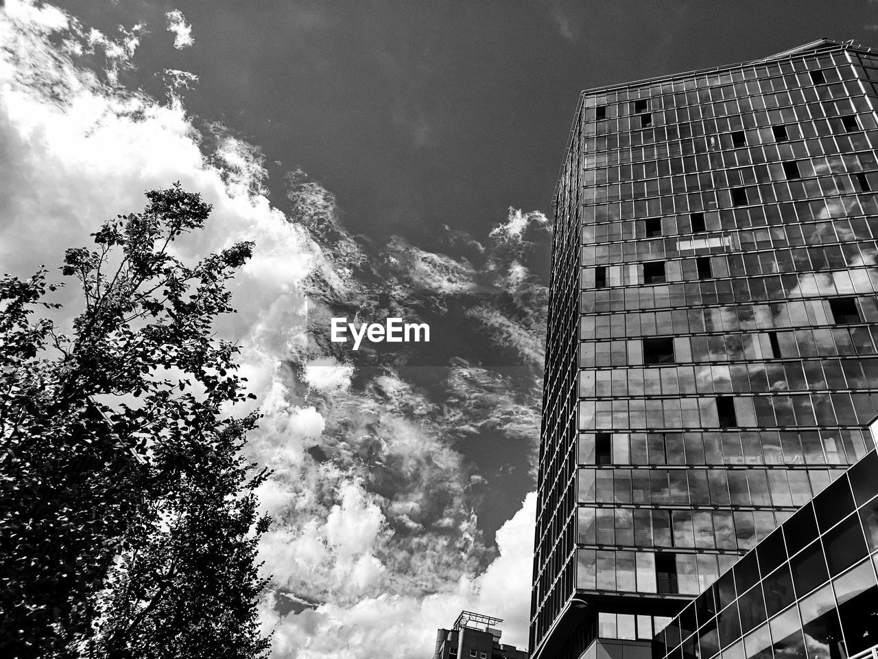 LOW ANGLE VIEW OF MODERN BUILDINGS AGAINST SKY