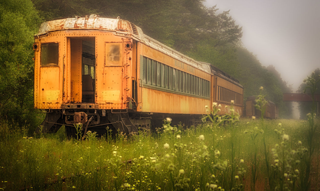 Abandoned train on grassy field against sky during foggy weather