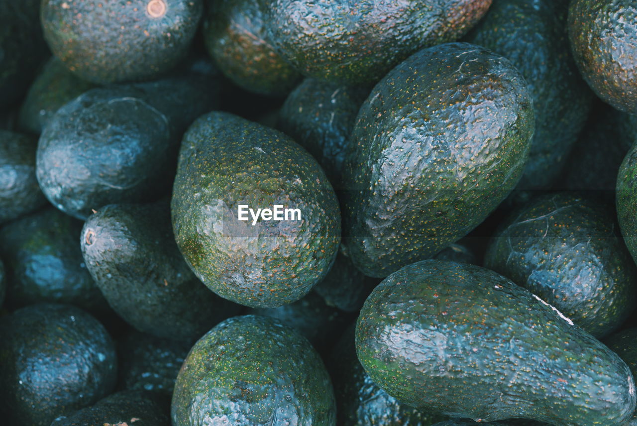 Full frame shot of avocados for sale