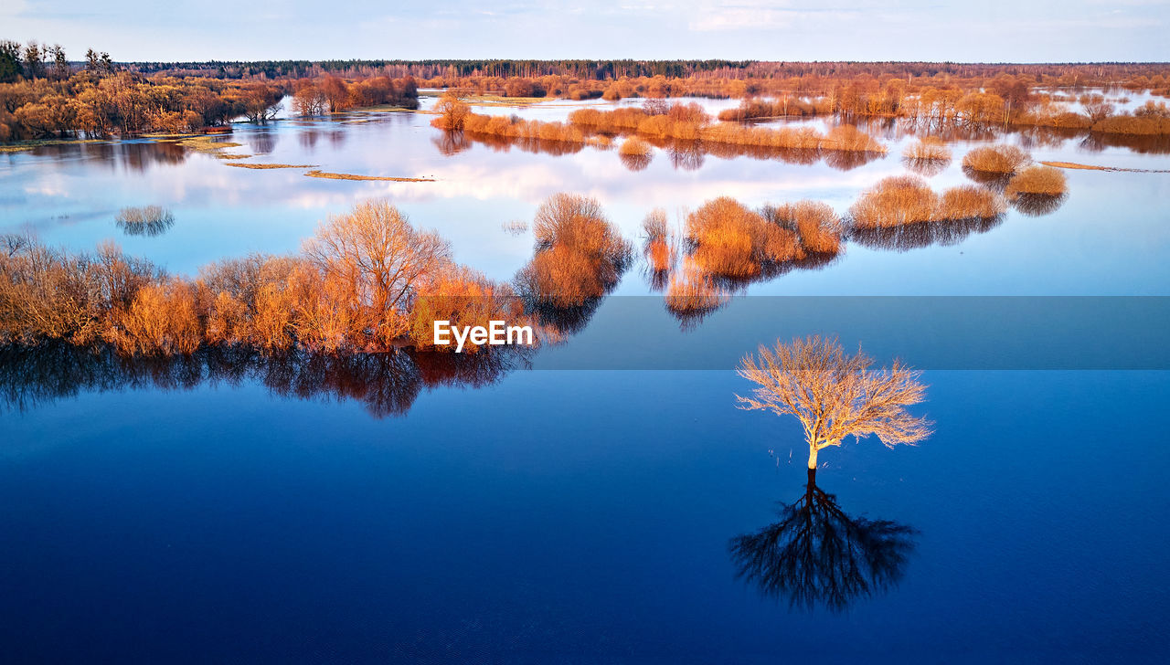 reflection, water, nature, scenics - nature, lake, beauty in nature, tree, sky, tranquility, morning, plant, environment, landscape, no people, tranquil scene, blue, dawn, travel destinations, land, autumn, outdoors, cloud, day, wilderness, travel, non-urban scene, idyllic, body of water, forest, sunrise, tourism