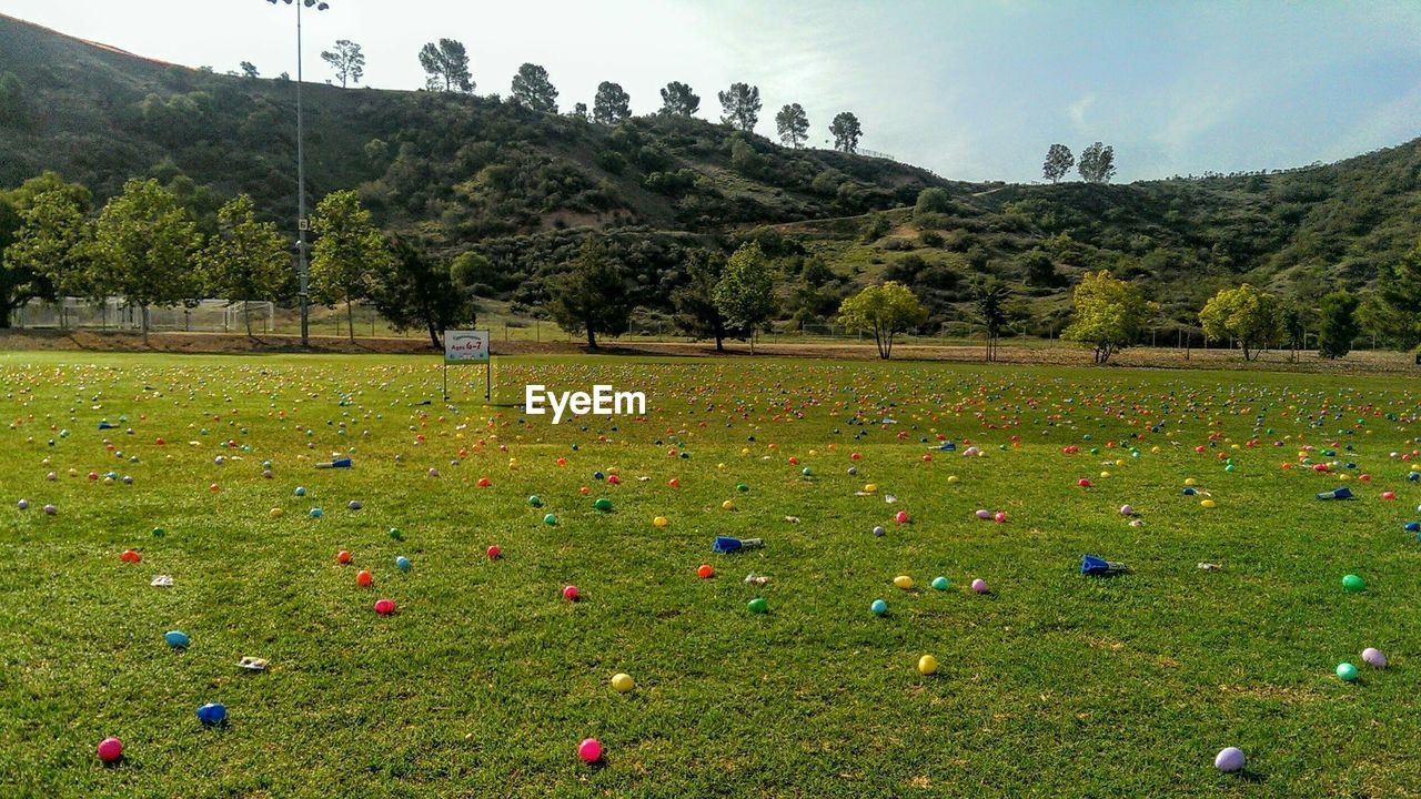 Multi colored easter eggs on grassy field against mountain at park