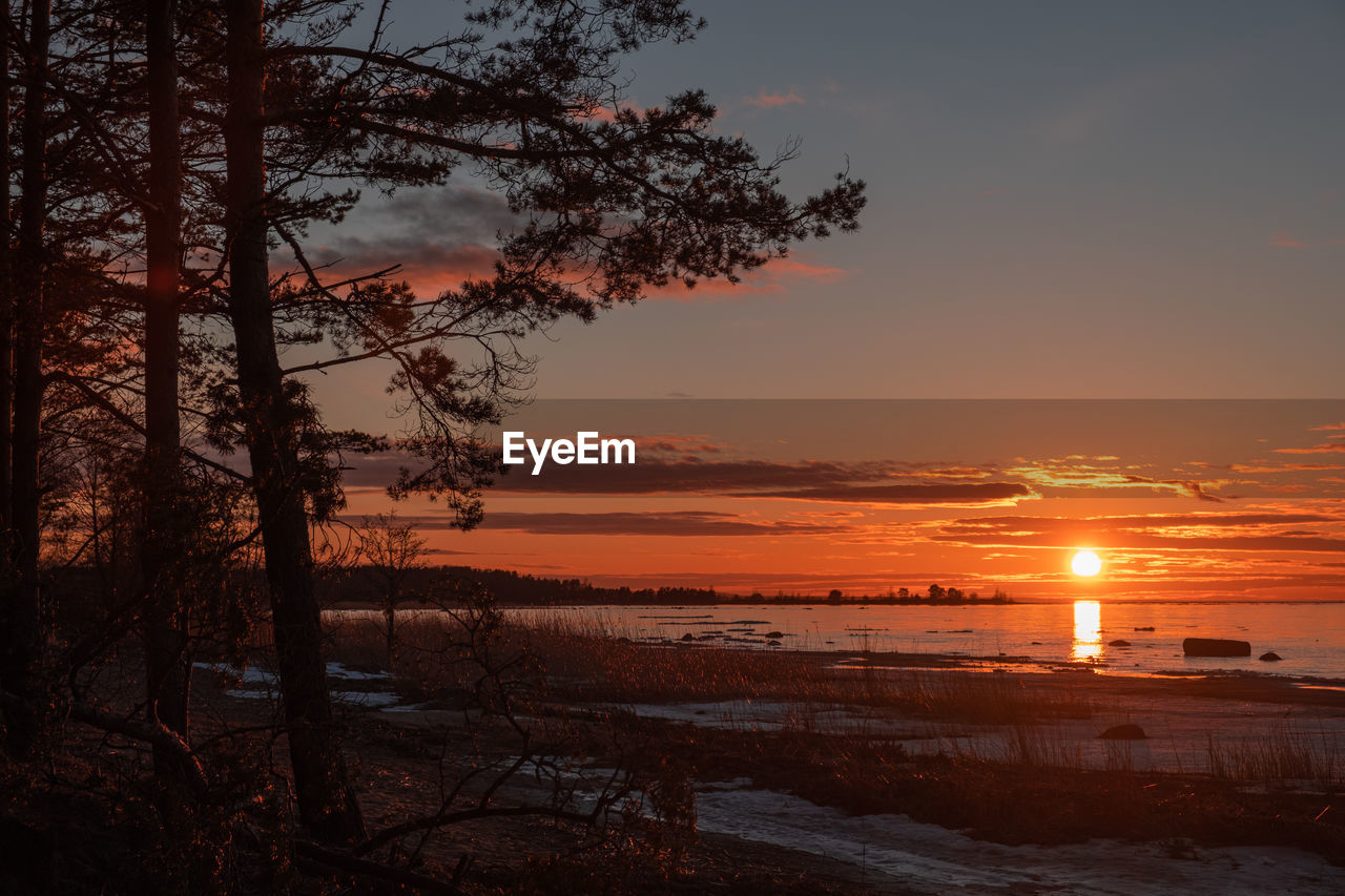 SCENIC VIEW OF BEACH DURING SUNSET