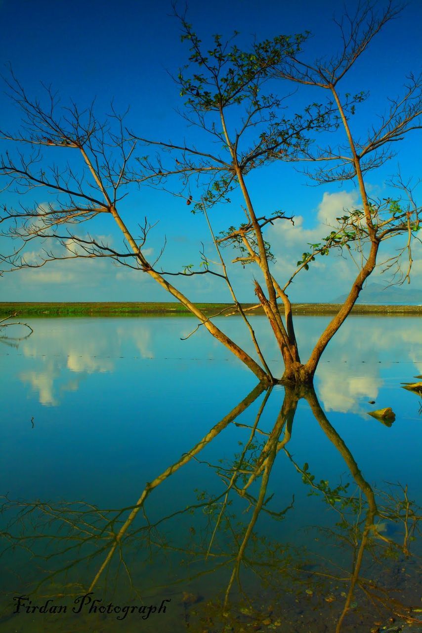 REFLECTION OF TREE ON LAKE AGAINST BLUE SKY