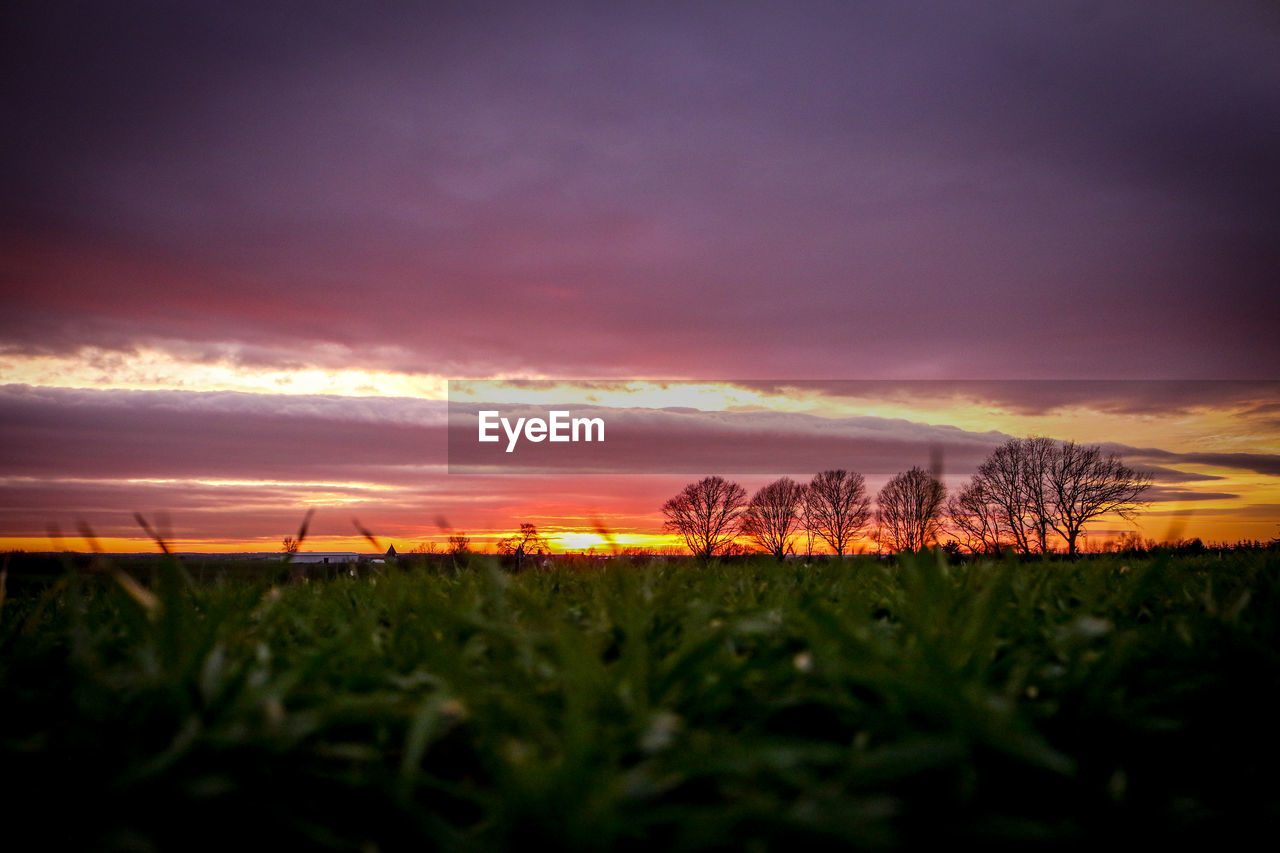 Scenic view of field against sky during sunset