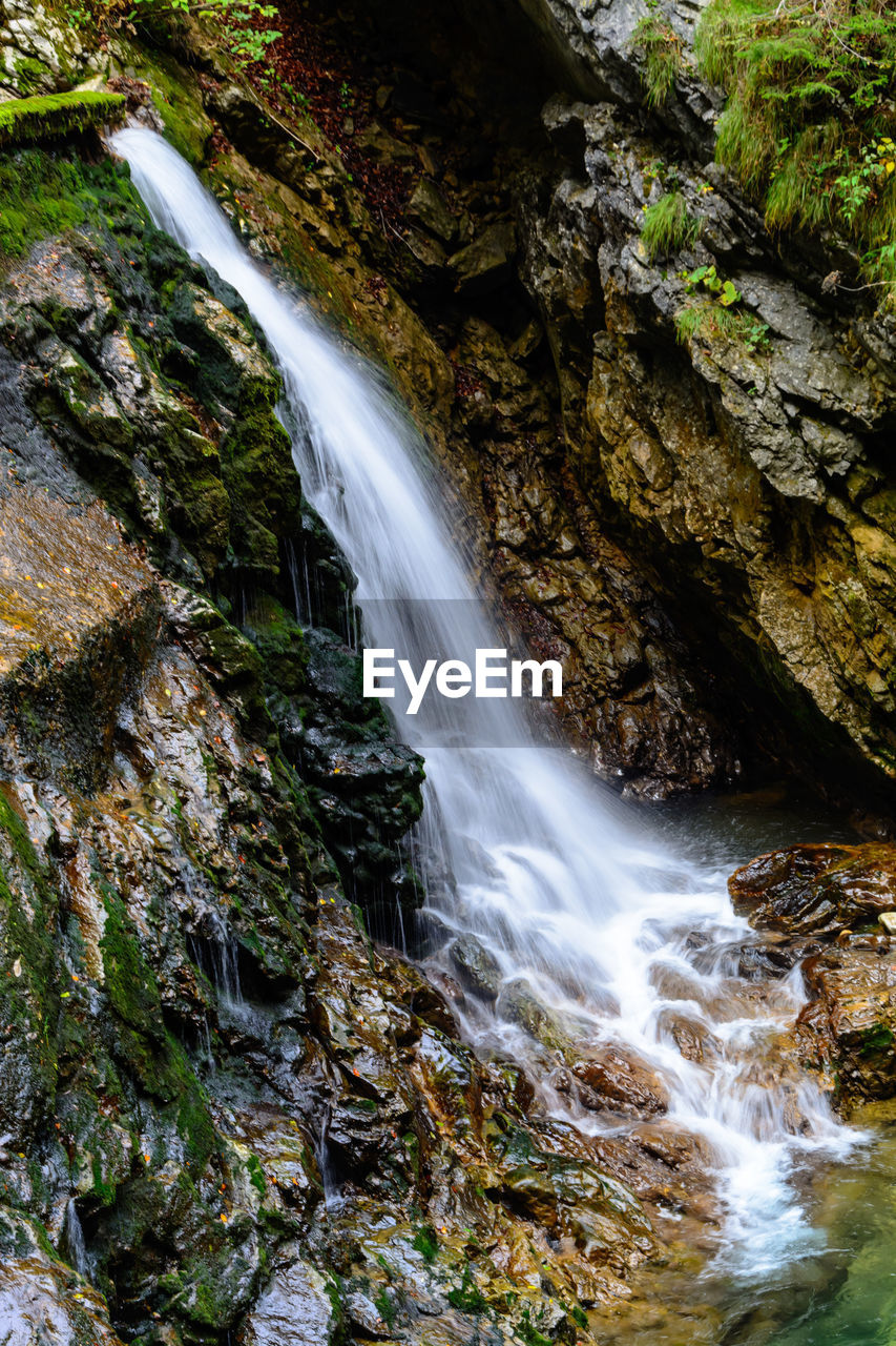 Scenic view of waterfall in forest