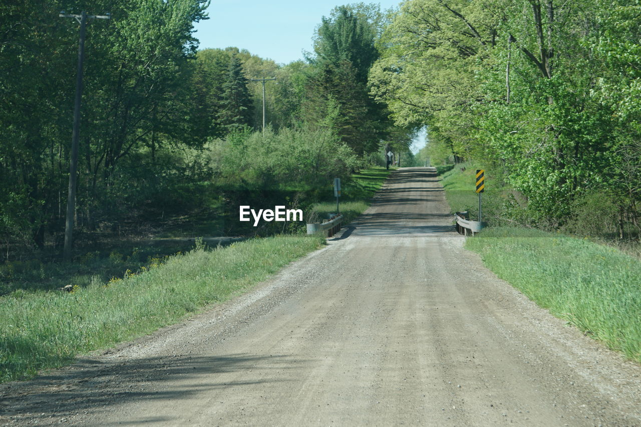 EMPTY ROAD AMIDST TREES IN FOREST