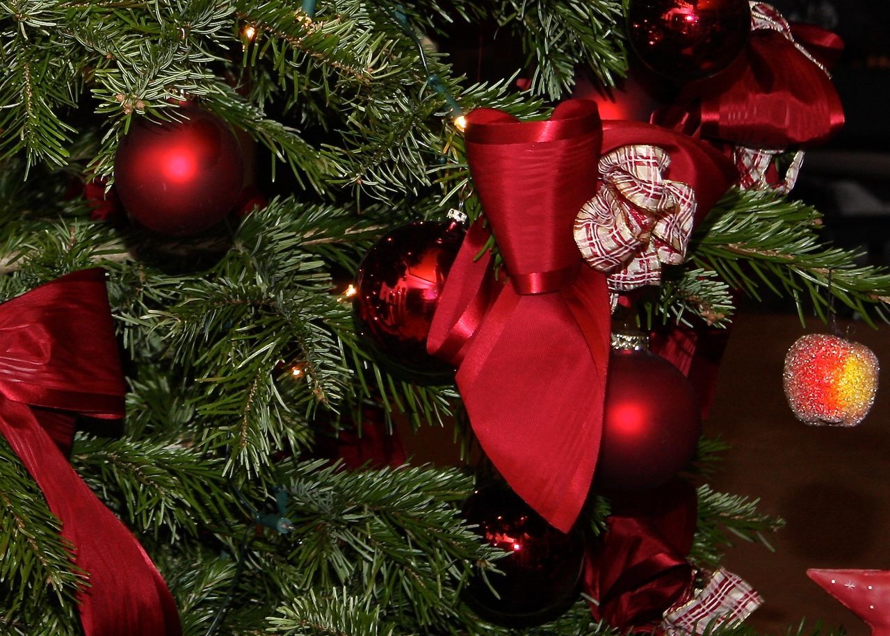 CLOSE-UP OF ILLUMINATED CHRISTMAS TREE