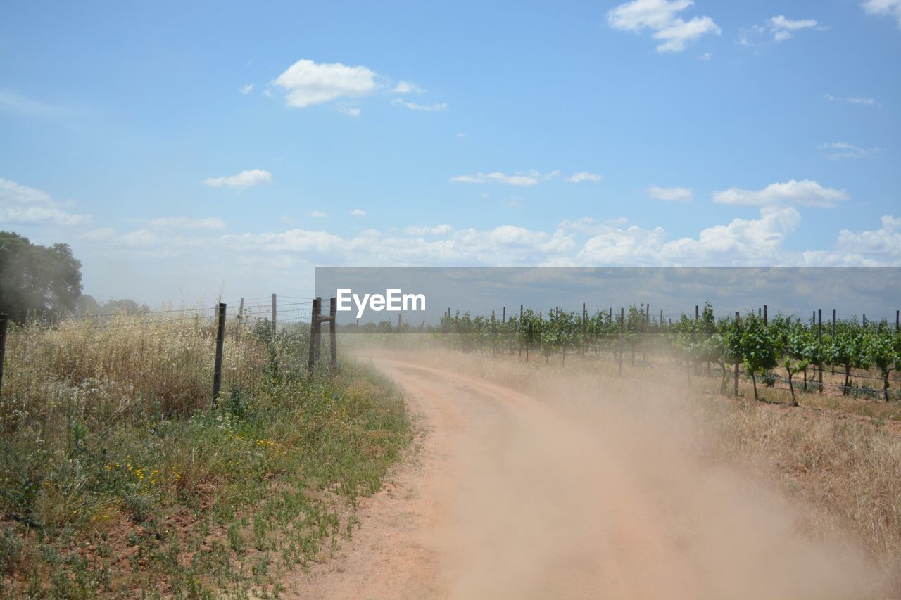 Dirt road by vineyard against sky