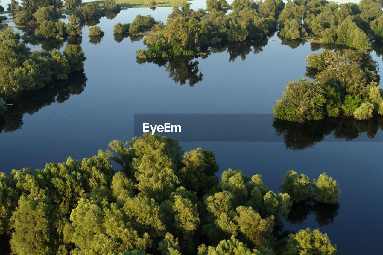 REFLECTION OF TREES IN LAKE