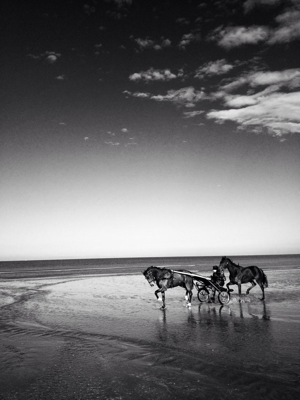 Side view of a horse carriage on beach