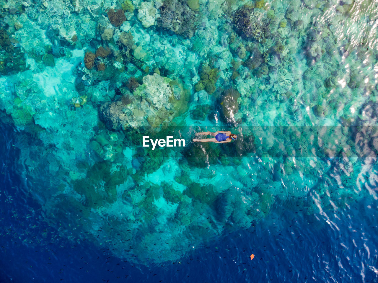 Aerial view of woman swimming in sea