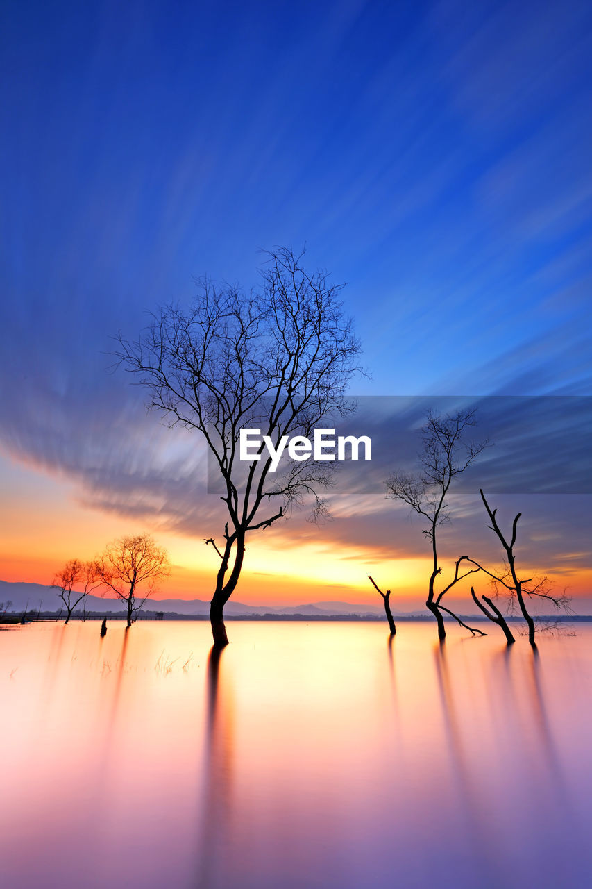 SILHOUETTE BARE TREES BY LAKE AGAINST SKY DURING SUNSET