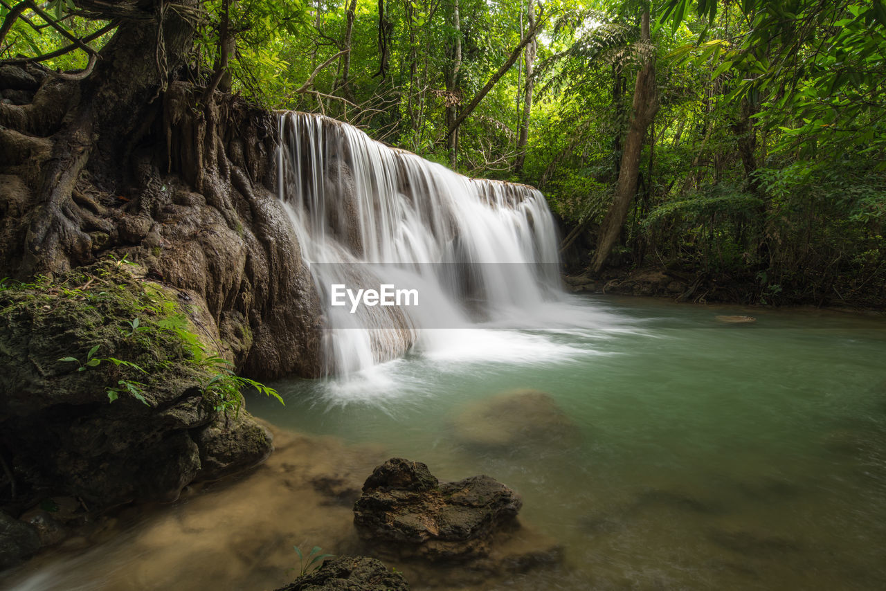 Scenic view of waterfall in forest