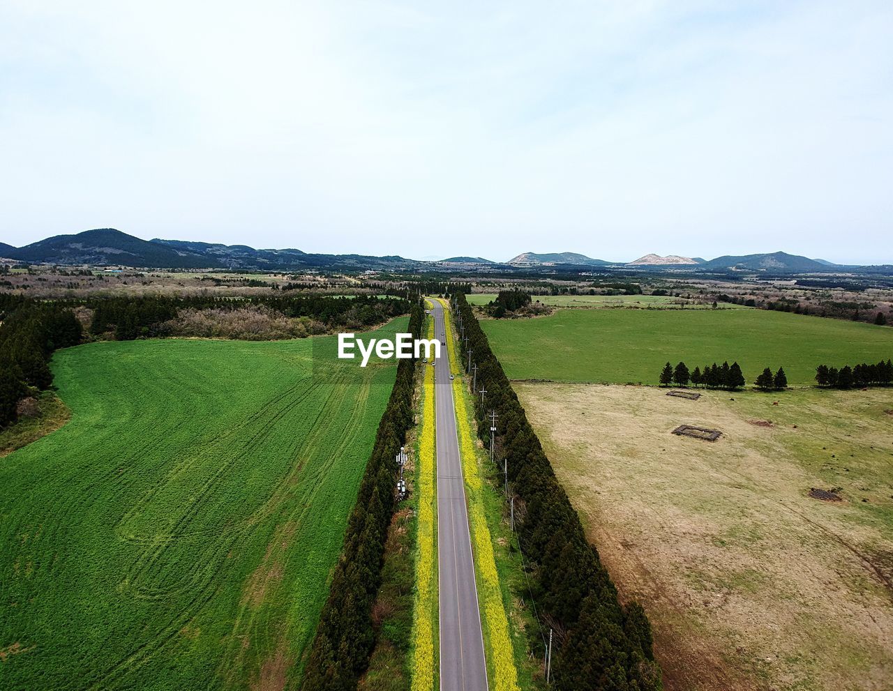 Scenic view of road amidst field against sky