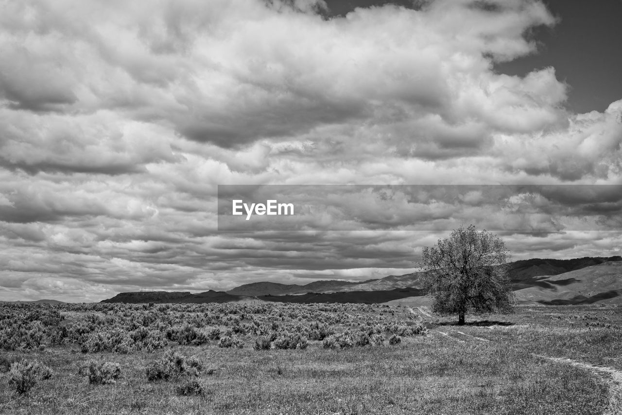 SCENIC VIEW OF ARID LANDSCAPE AGAINST SKY