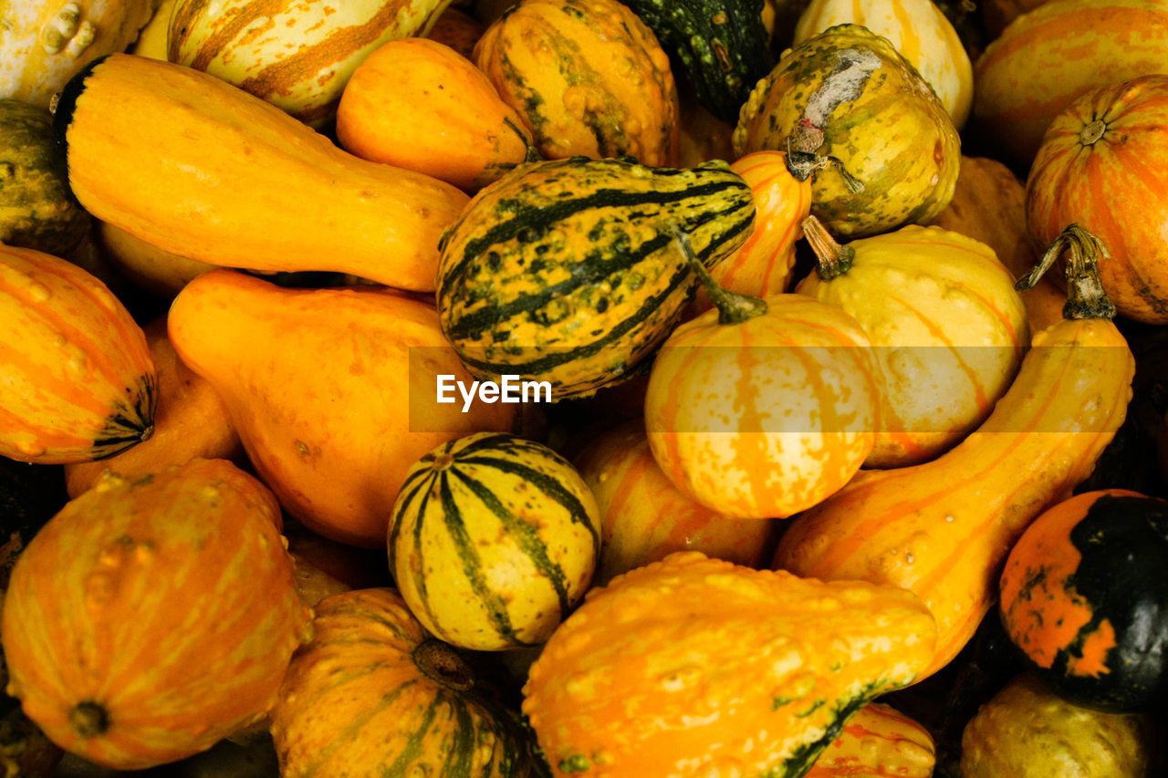 FULL FRAME SHOT OF PUMPKINS FOR SALE