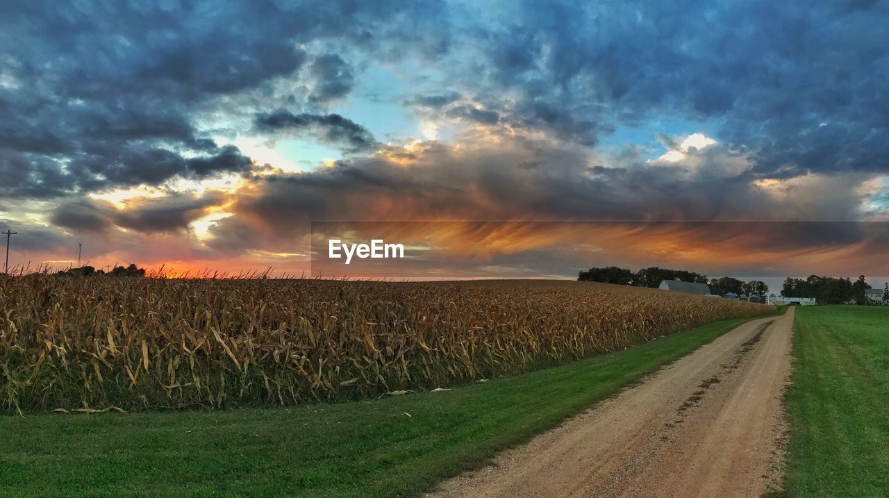 Scenic view of agricultural field against cloudy sky at sunset