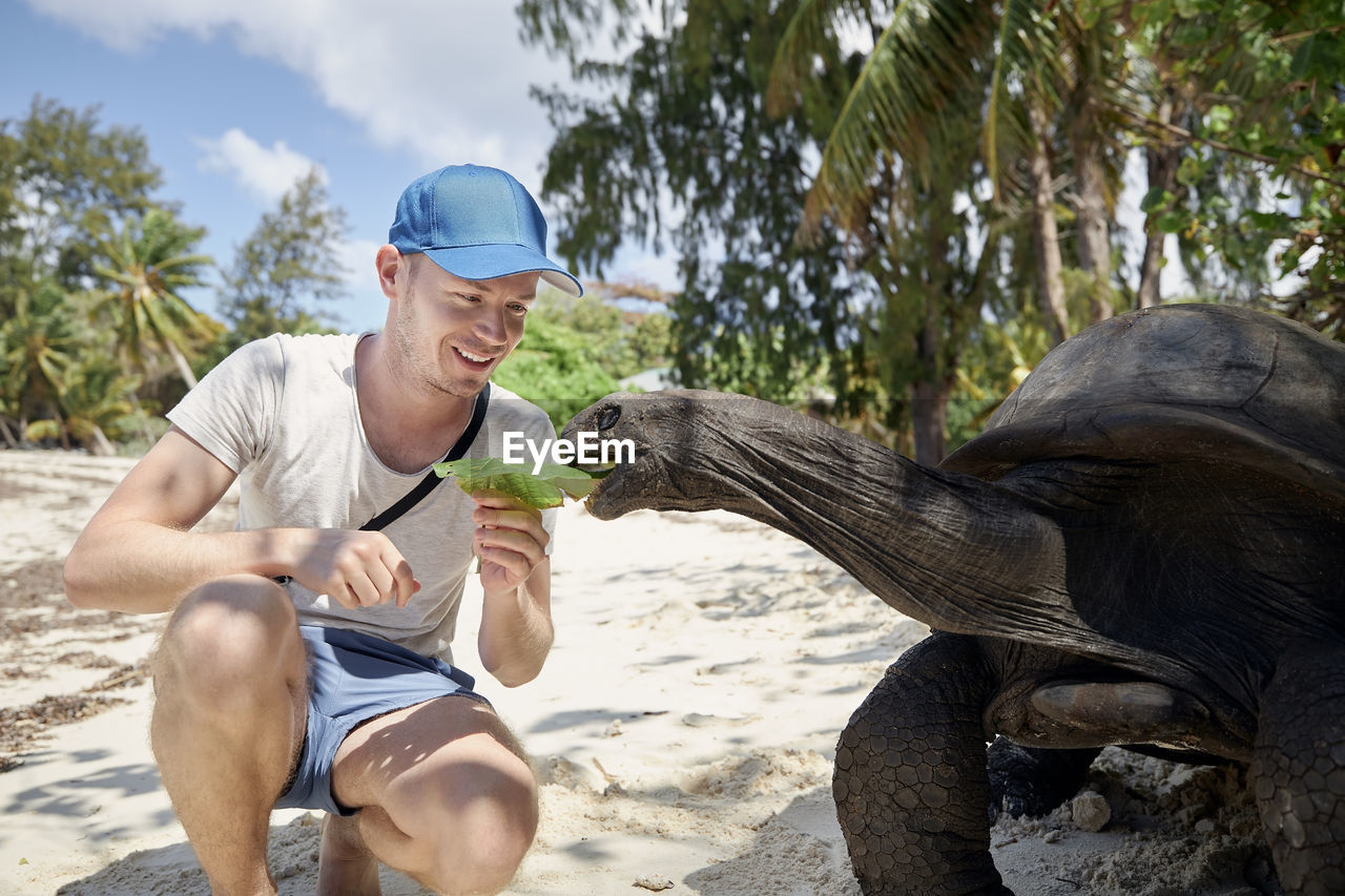 Happy traveler with aldabra giant tortoise on sand beach. turtle stretching its long neck for leaf.