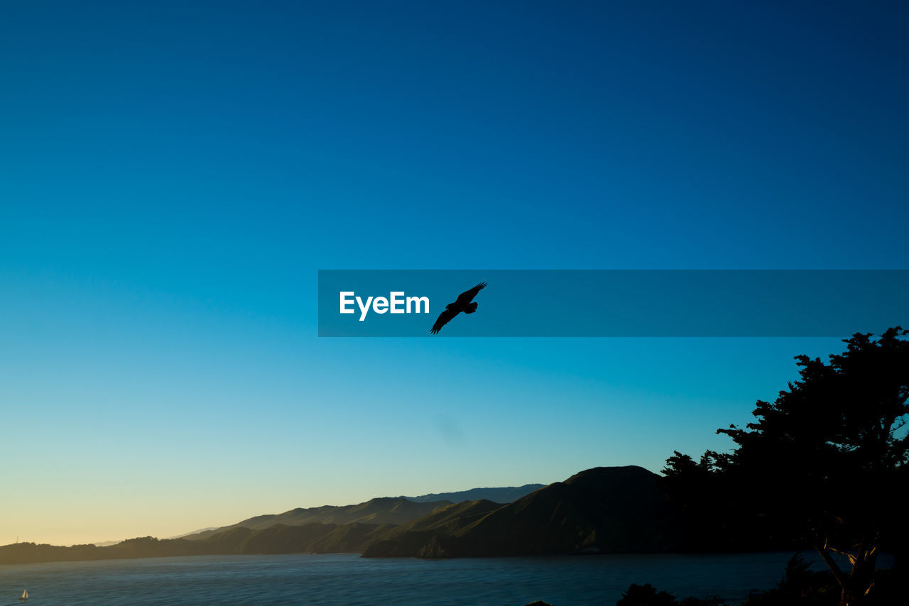 Silhouette bird flying over sea against clear sky during sunset