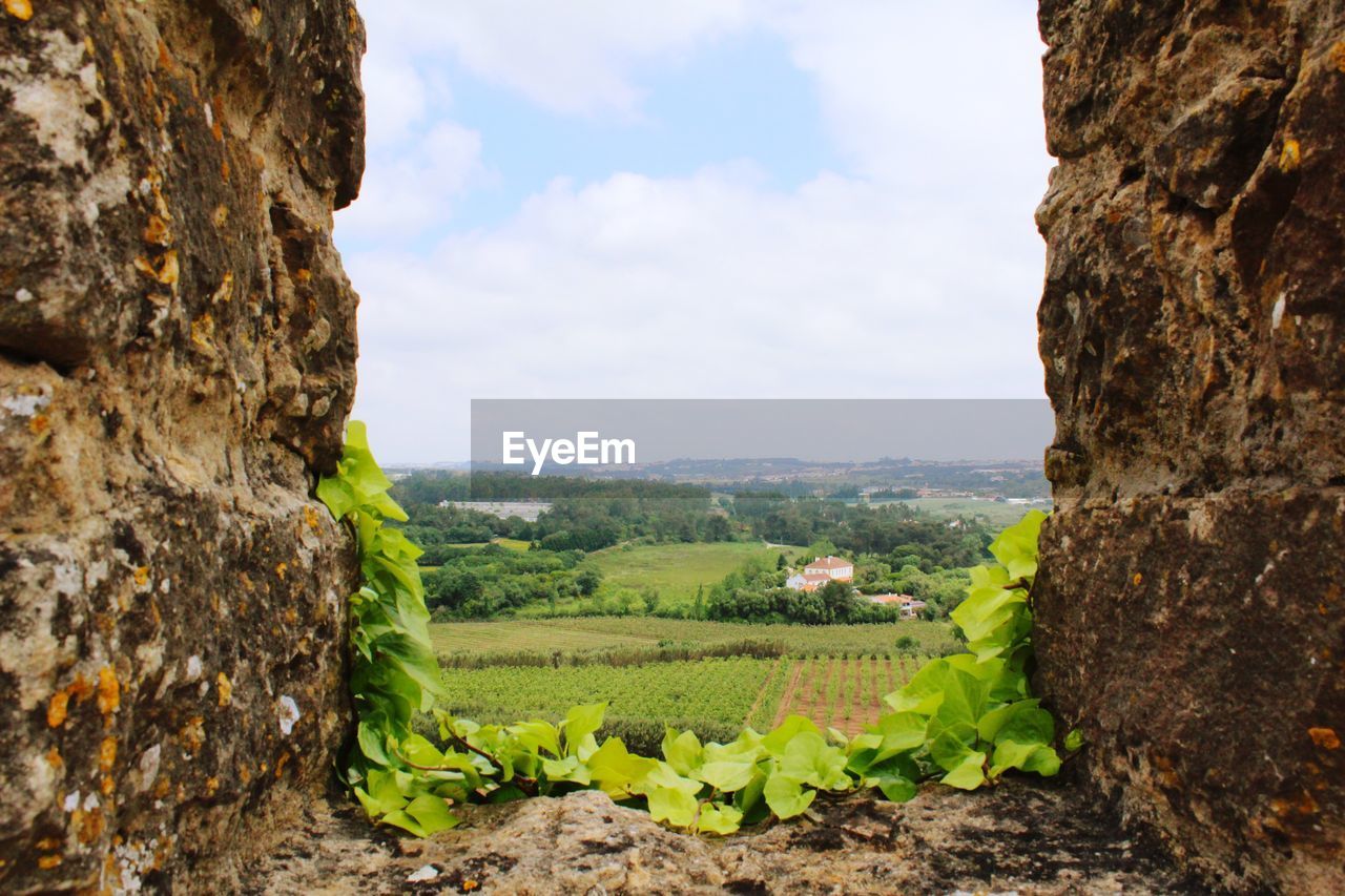 Scenic view of agricultural landscape against sky