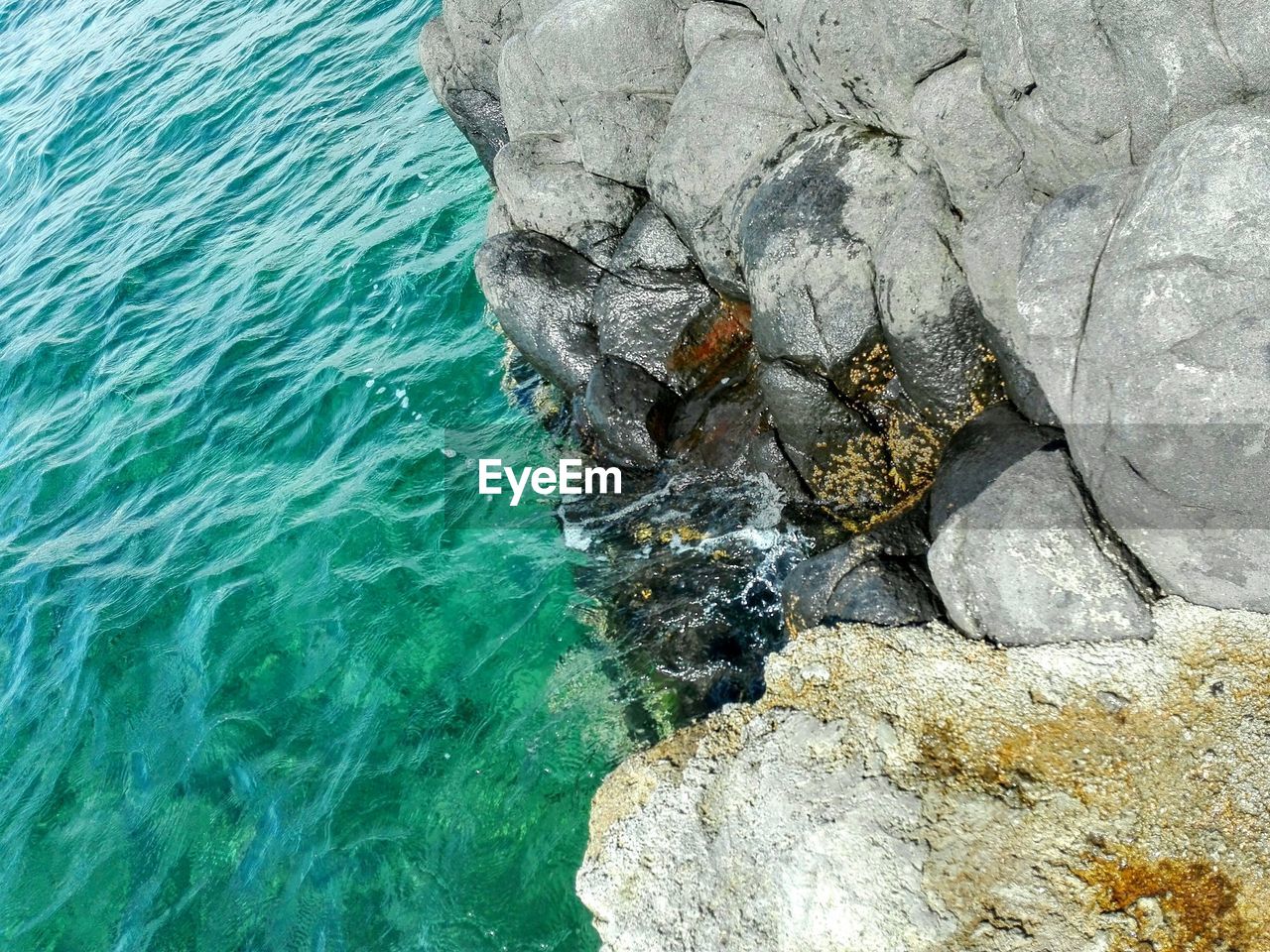 CLOSE-UP OF SNAKE ON ROCK BY SEA