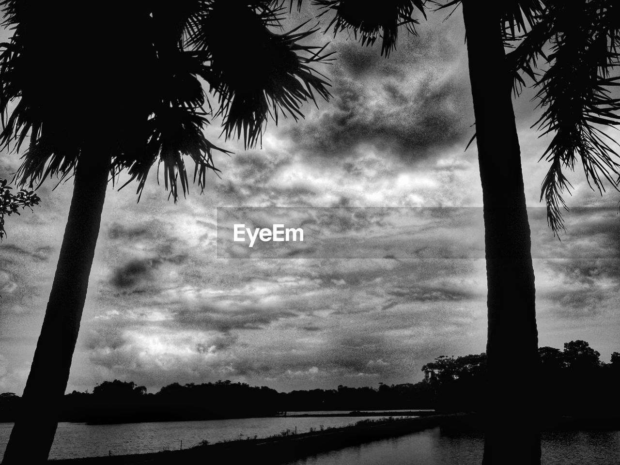 SILHOUETTE PALM TREES AGAINST SKY AT BEACH