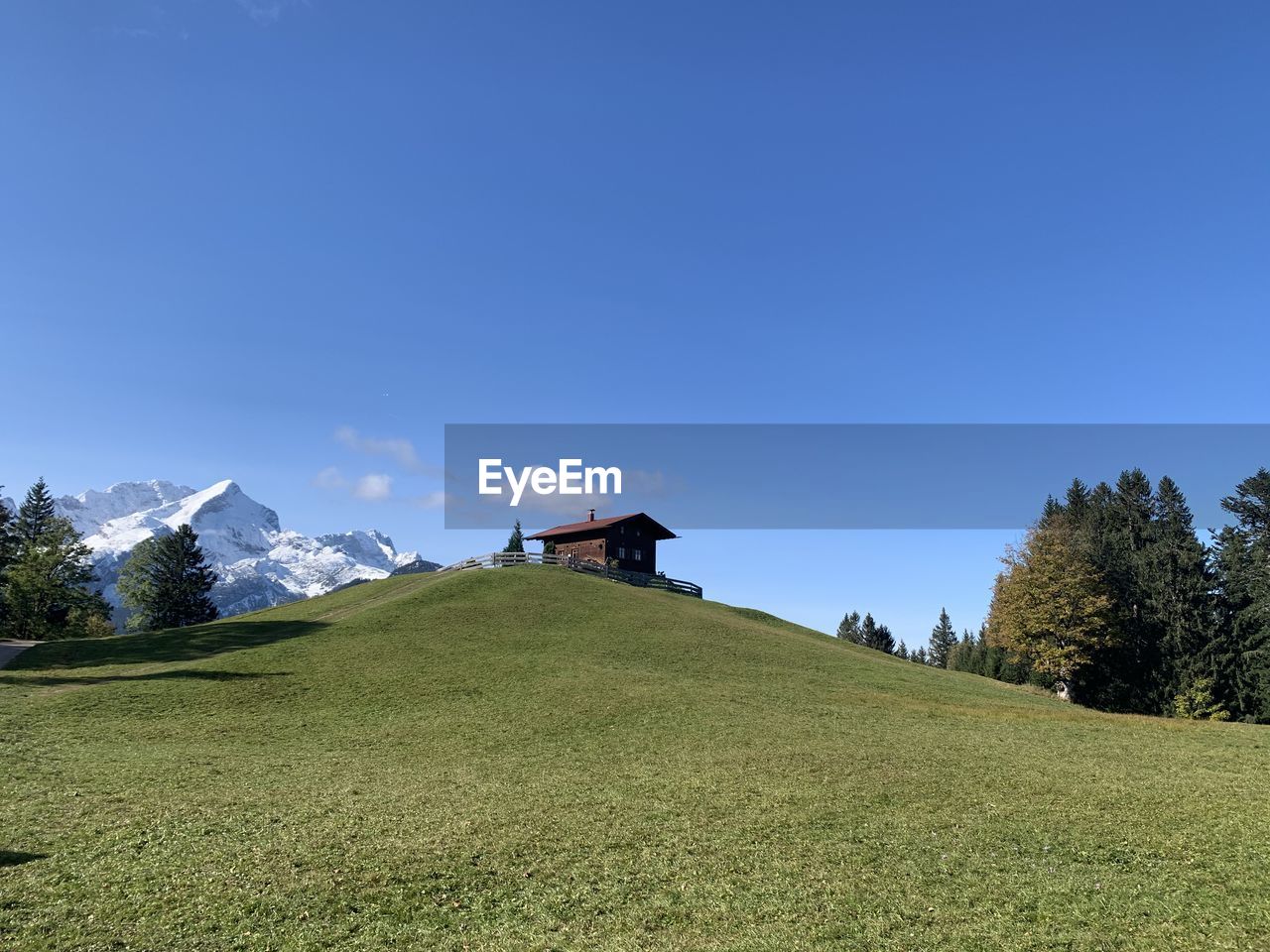 Scenic view of field against clear blue sky