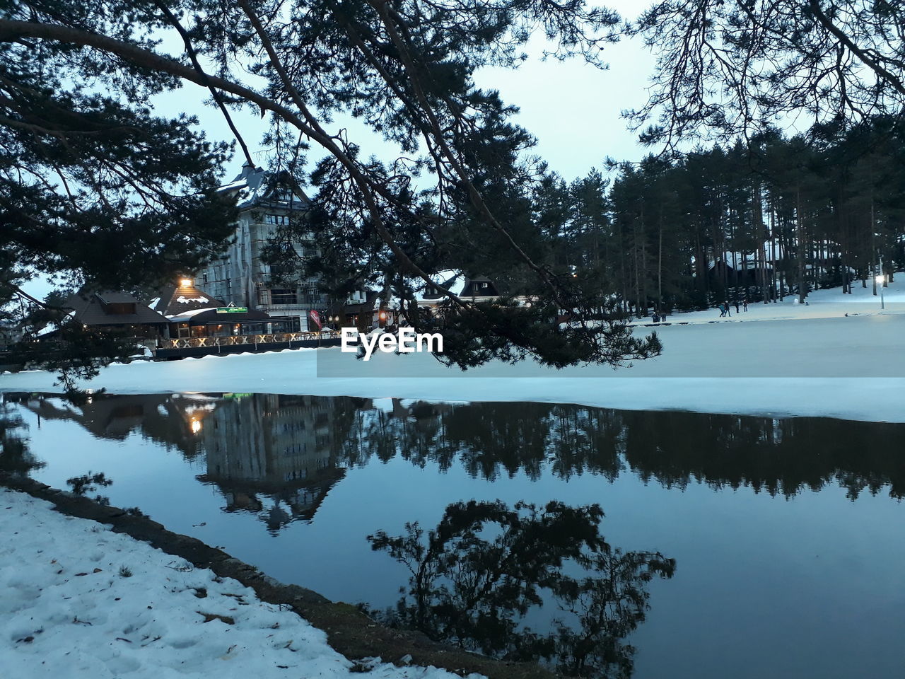 Reflection of trees in lake against sky during winter