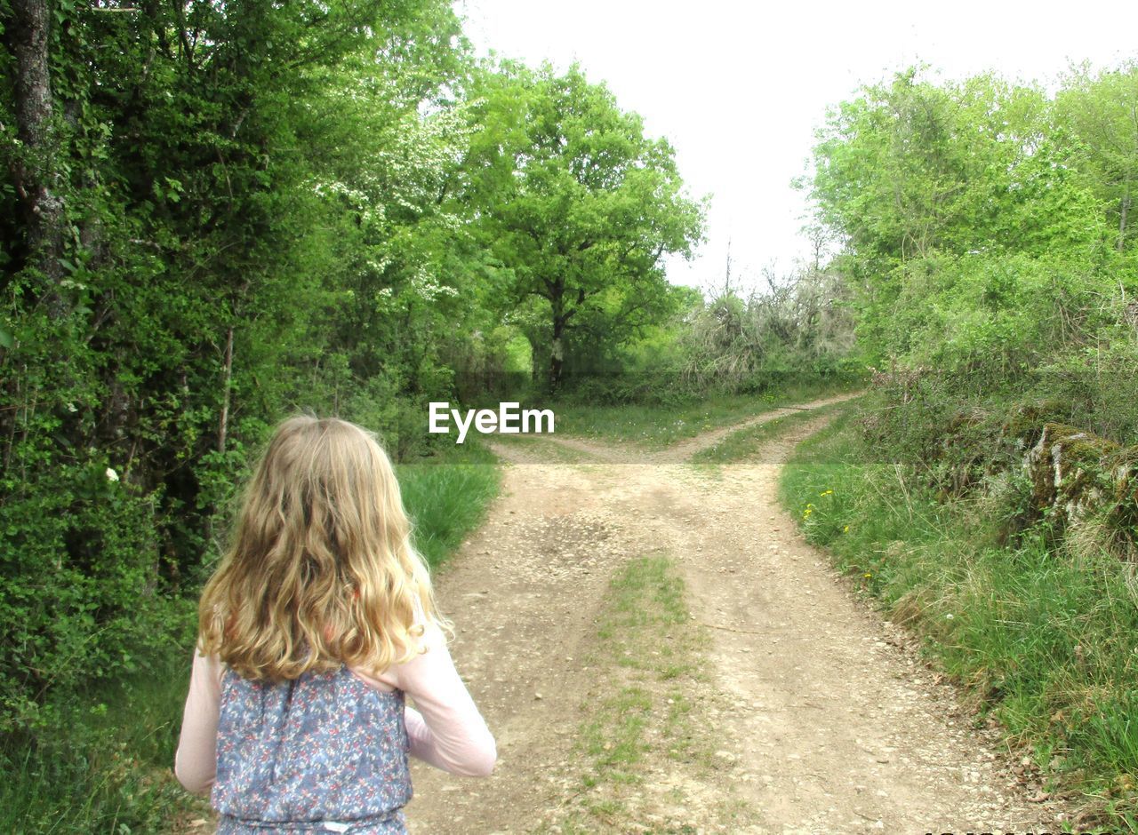 Rear view of girl standing on road amidst trees in forest