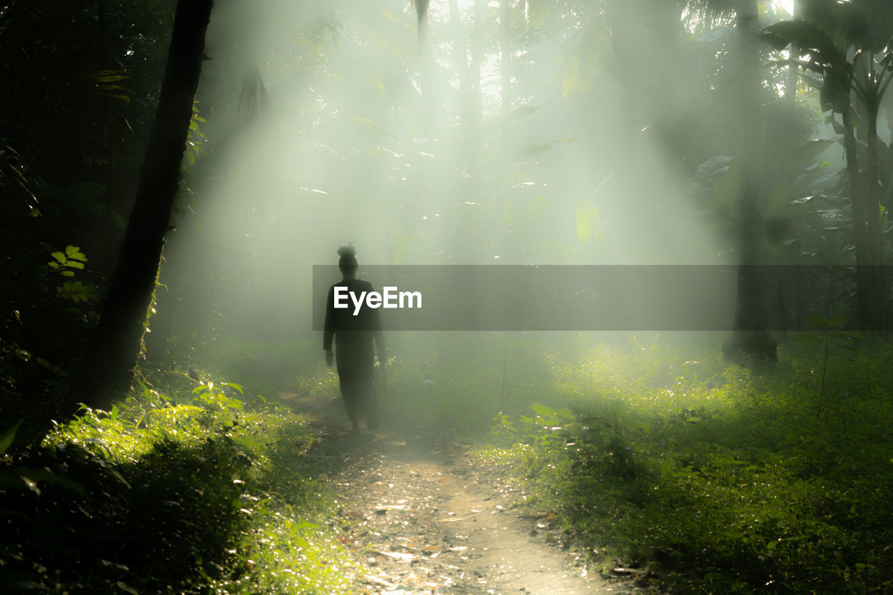 REAR VIEW OF WOMAN WALKING IN FOREST
