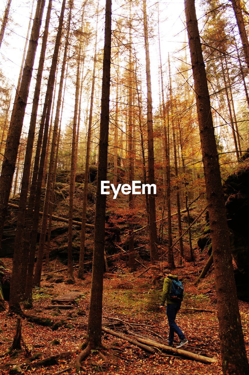 Man walking in forest during autumn