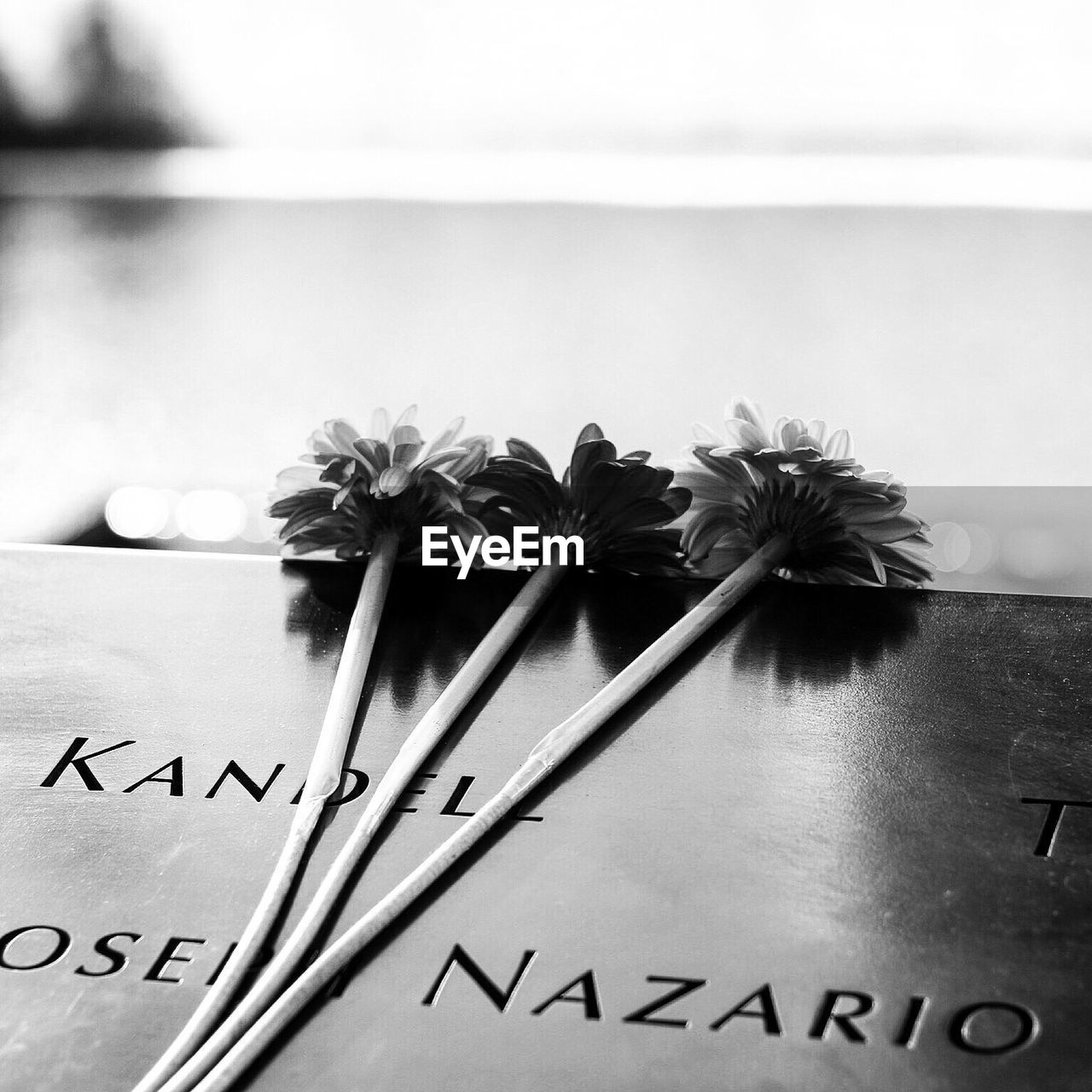 High angle view of flower on tombstones